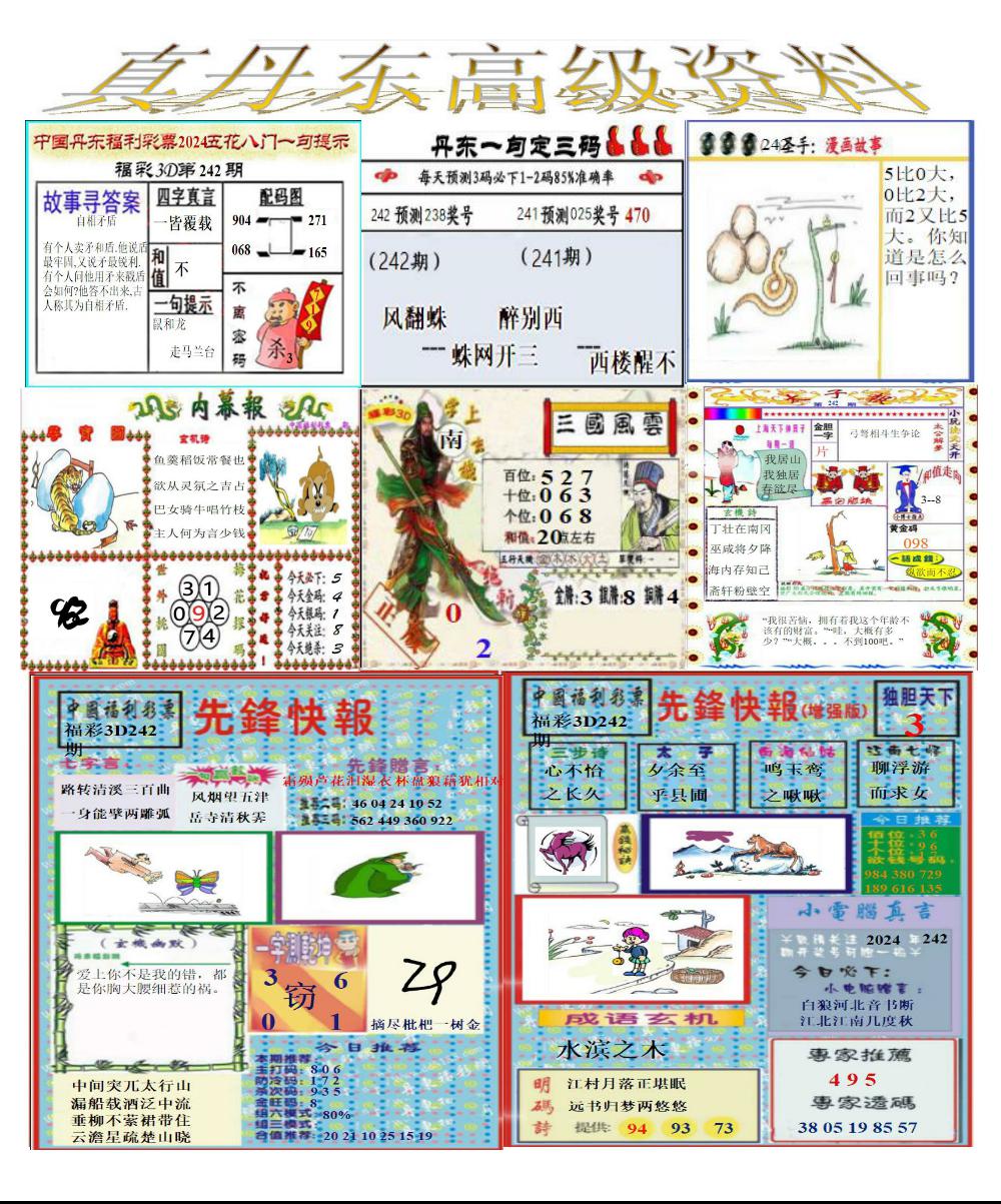 真丹东高级资料